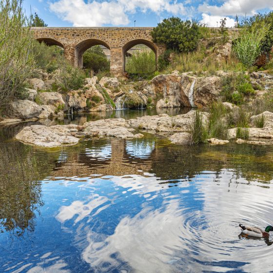 Pont Vell (Puente Viejo)